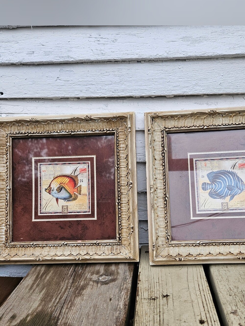 Framed Coastal Fish Art Print Set in Brown and Blue - Unbranded